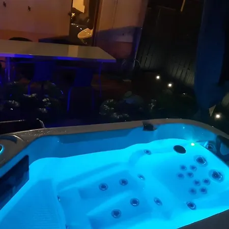 Maison Centre Jacuzzi Jardin Et Climatisation * コルマール