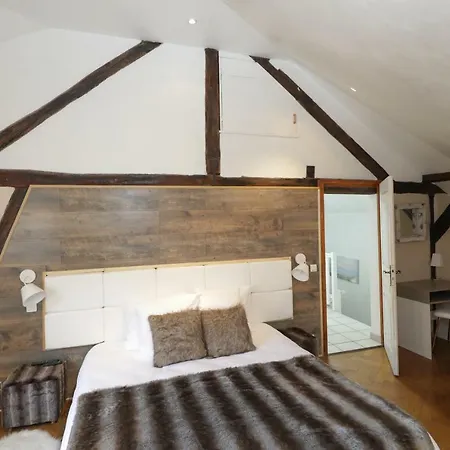 Maison Centre Jacuzzi Jardin Et Climatisation * コルマール